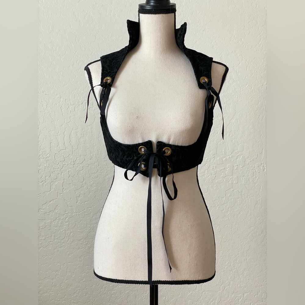 Damsel in This Dress black cropped vixen corset